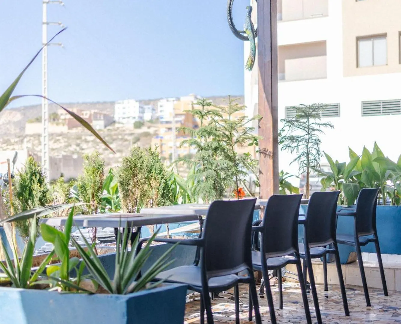 Ostello Freebird Surfcamp Morocco Agadir Marocco